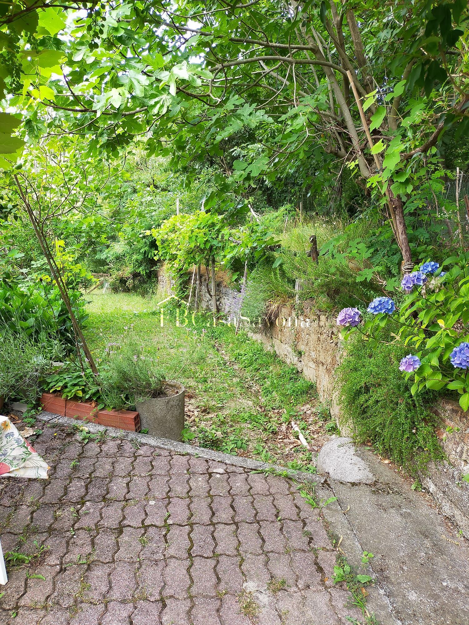 /uploads/w1500/fbcasasavona agenzia immobiliare .sant giustina.jpeg fbcasasavona agenzia immobiliare